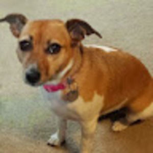 Meet your Posher, Darlene